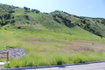 Photo 5 for 2532 N 2300 E