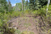 Photo 5 for 98  Mountain Spring Dr