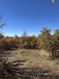 Photo 1 for 22949 N 13755 E