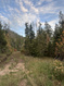 Photo 3 for 12  Pine Ridge Estates Dr