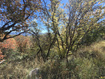 Photo 1 for 661 W Shady Ln