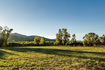 Photo 5 for 4315 N Old Ranch Road