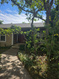 Photo 2 for 2580 E Country Oaks Dr #202