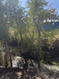 Photo 4 for 18750 N 10856 E