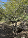 Photo 5 for 18750 N 10856 E