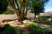 Photo 6 for 885 E 1525 N