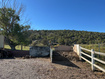 Photo 3 for 1464 E Valley Dr