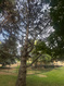 Photo 6 for 3935 N 800 W