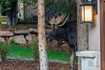 Photo 5 for 2081  Mahre Dr