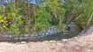 Photo 4 for 657 E Spruce Glen Rd