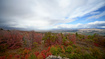 Photo 3 for 23000 N 14125 E
