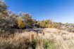 Photo 5 for 5973 S South Weber Dr