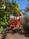 Photo 2 for 1052  Mount Tabby Dr