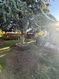 Photo 1 for 1225 N Dixie Downs Rd #107