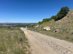 Photo 6 for N Rolling Hills Dr