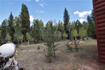 Photo 6 for 1129 E Ponderosa Rd #40