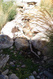Photo 3 for 1024 E 5000 S