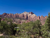 Photo 4 for 1219 Canyon Rd