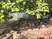 Photo 6 for 2229 N 700 W