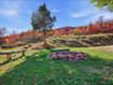 Photo 6 for 3087  Evergreen Park Dr
