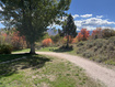Photo 6 for 3087  Evergreen Park Dr