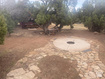 Photo 4 for 45711 W Colt Rd #131