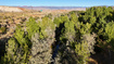 Photo 3 for 1200 E Old Hwy 10