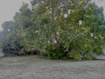 Photo 5 for 4161 N Canyon Rd