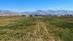 Photo 5 for 762 N 400 W