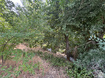 Photo 3 for 1648 E 4150 S