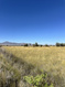 Photo 3 for W 14200 S