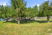 Photo 4 for 515 E 10695 S