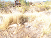 Photo 5 for 11970 E 22310 N