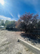 Photo 6 for 310 W Clark St
