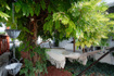 Photo 4 for 4578 S Foxglove Dr #107