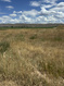 Photo 5 for 636  Cemetery Rd