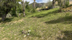 Photo 6 for 517 E 1400 N