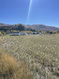 Photo 4 for 3820 E Highway 36