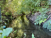 Photo 4 for 5035 S Hollow Rd