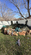 Photo 6 for 109 W Nautical Dr
