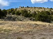 Photo 5 for 14662 S Rose Canyon Rd