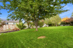 Photo 6 for 294 W Holland Dr