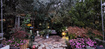 Photo 5 for 1397  Ritter Dr