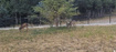 Photo 3 for 1007 S Summit Dr