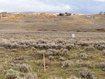 Photo 4 for 5250 N Dry Valley Rd