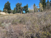 Photo 6 for 529 W Artist Point Way