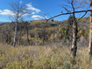 Photo 4 for 509 W Artist Point Way