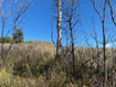 Photo 3 for 509 W Artist Point Way
