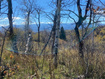 Photo 1 for 509 W Artist Point Way