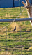Photo 6 for 3540 N 1130 W